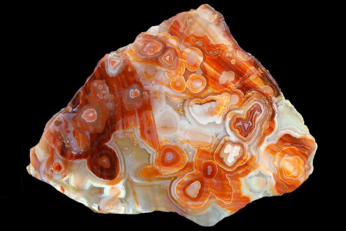Polished Crazy Lace Agate - Mexico #114386
